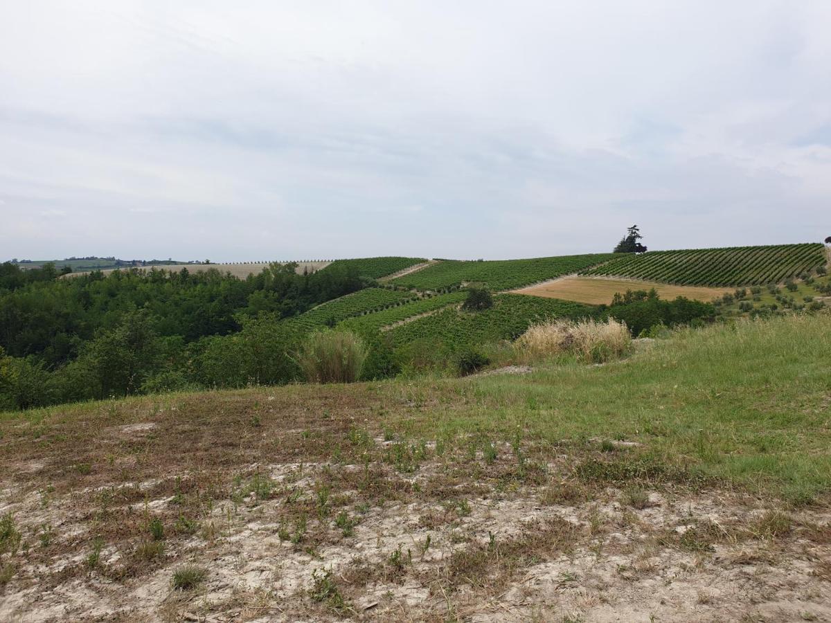 Olivola Apartments Frassinello Monferrato Luaran gambar